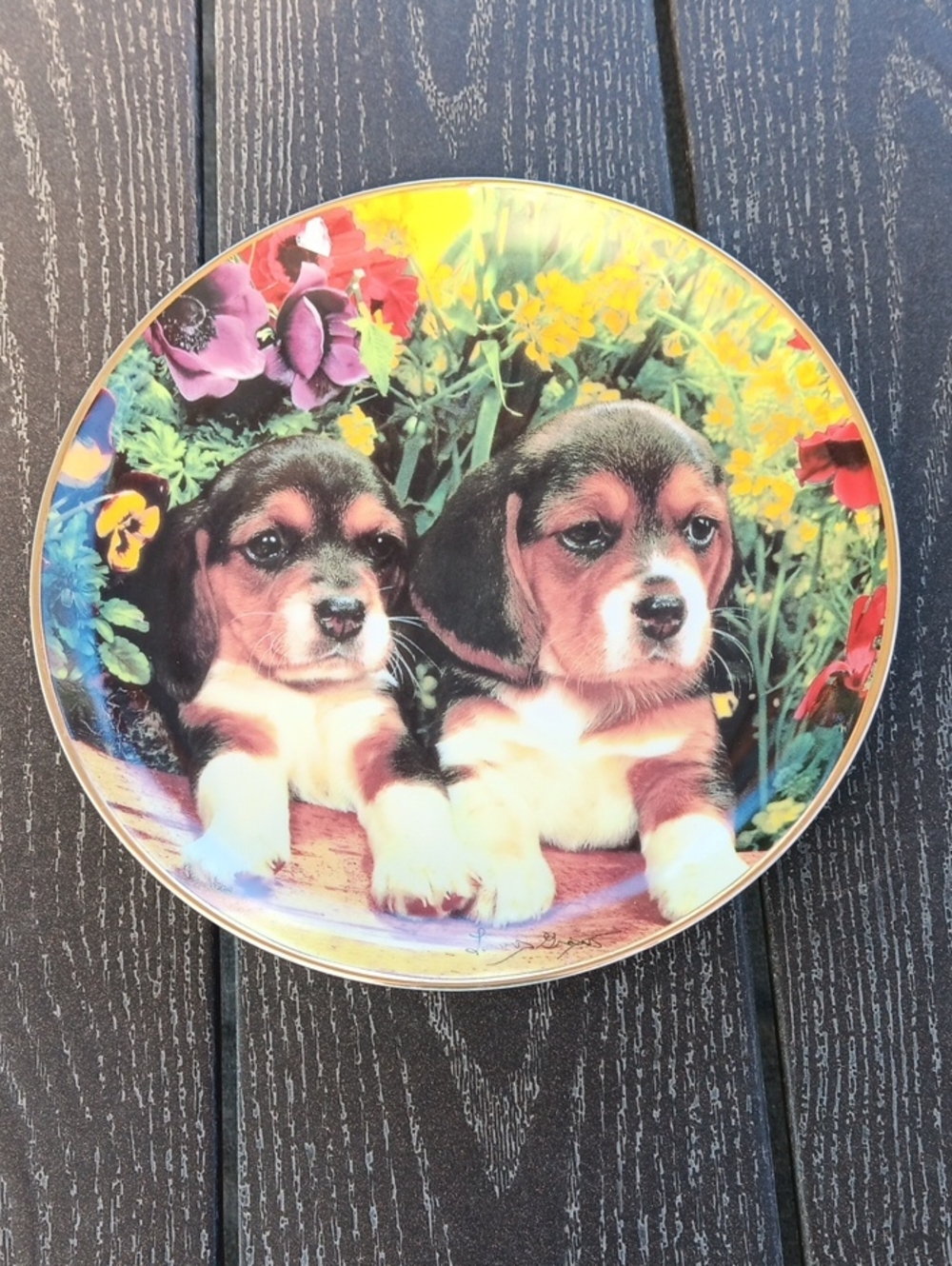 Decorative Beagle Puppies Collector Plate - Multicolor